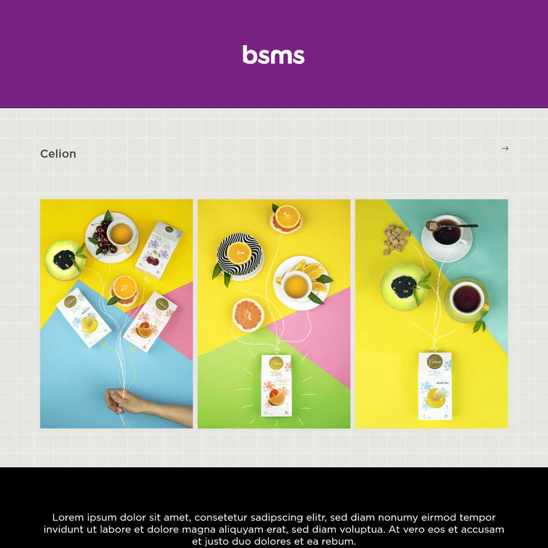bsms
